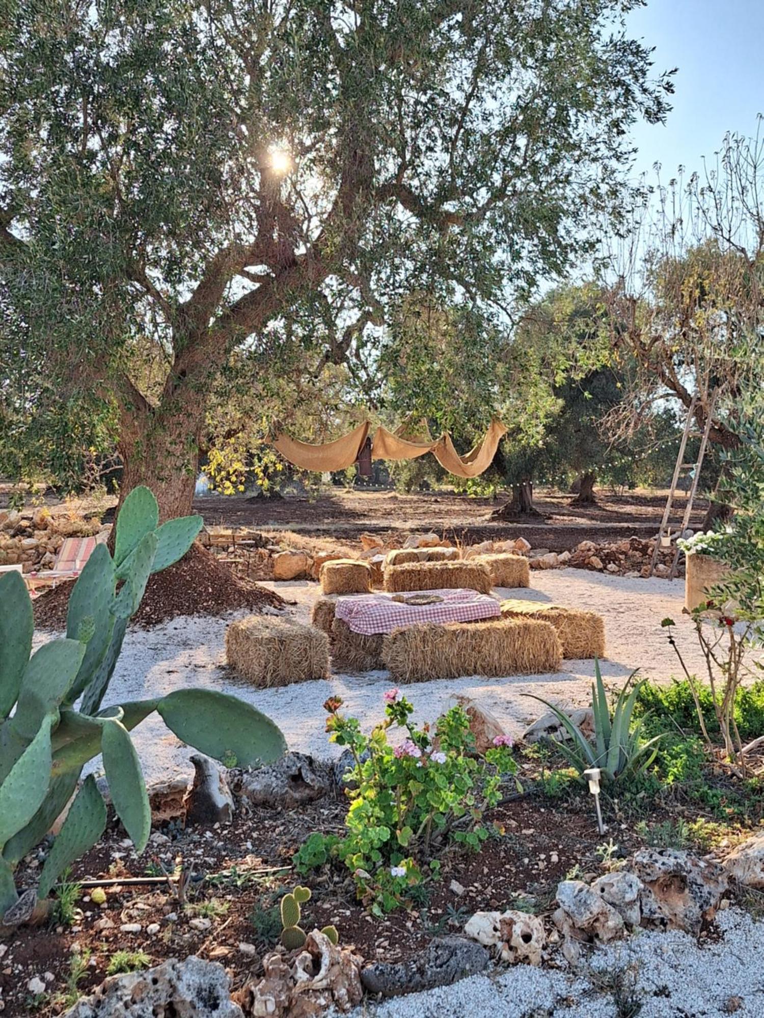 Residenza Anima Mediterranea Francavilla Fontana Kültér fotó