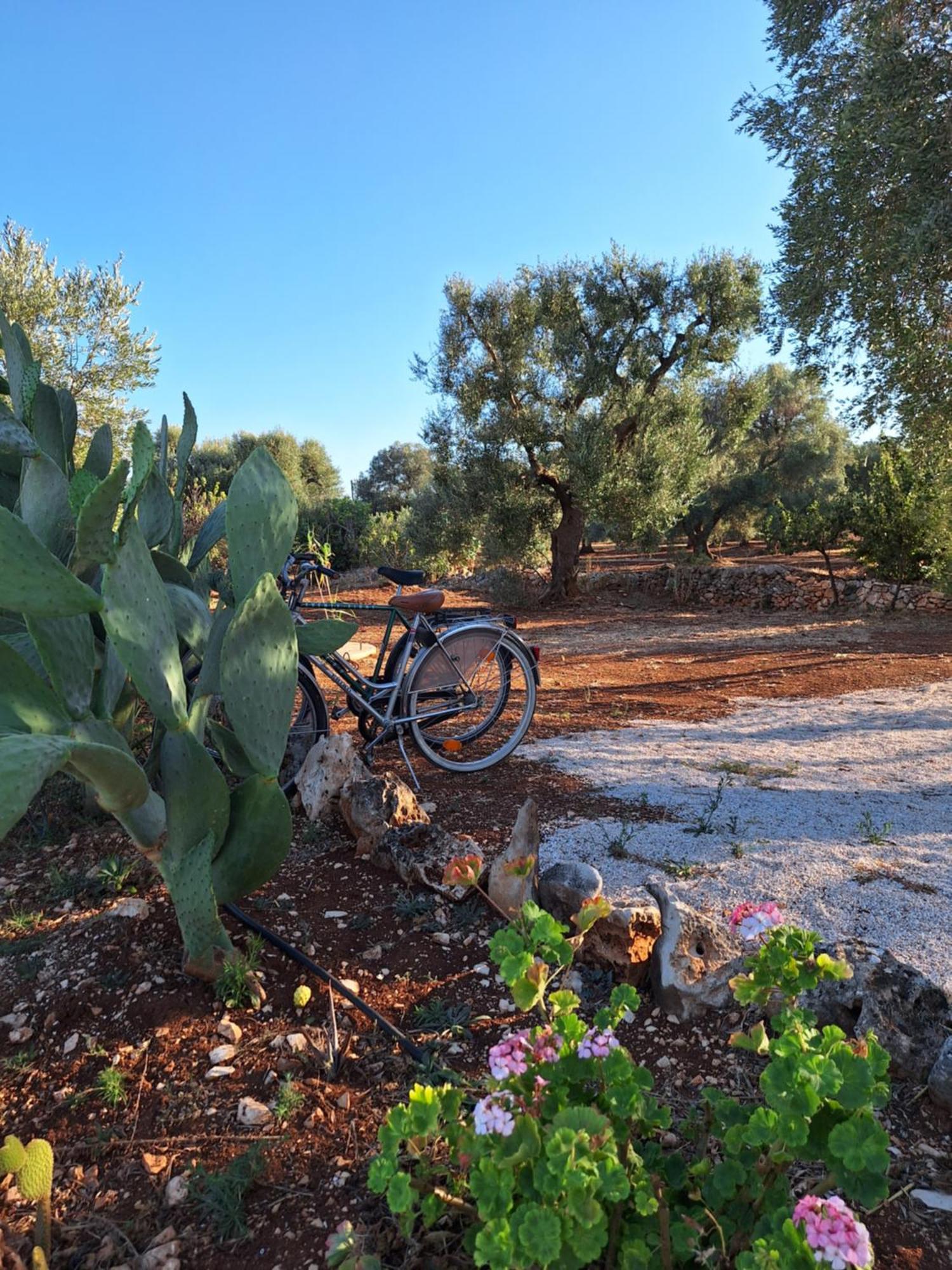 Residenza Anima Mediterranea Francavilla Fontana Kültér fotó
